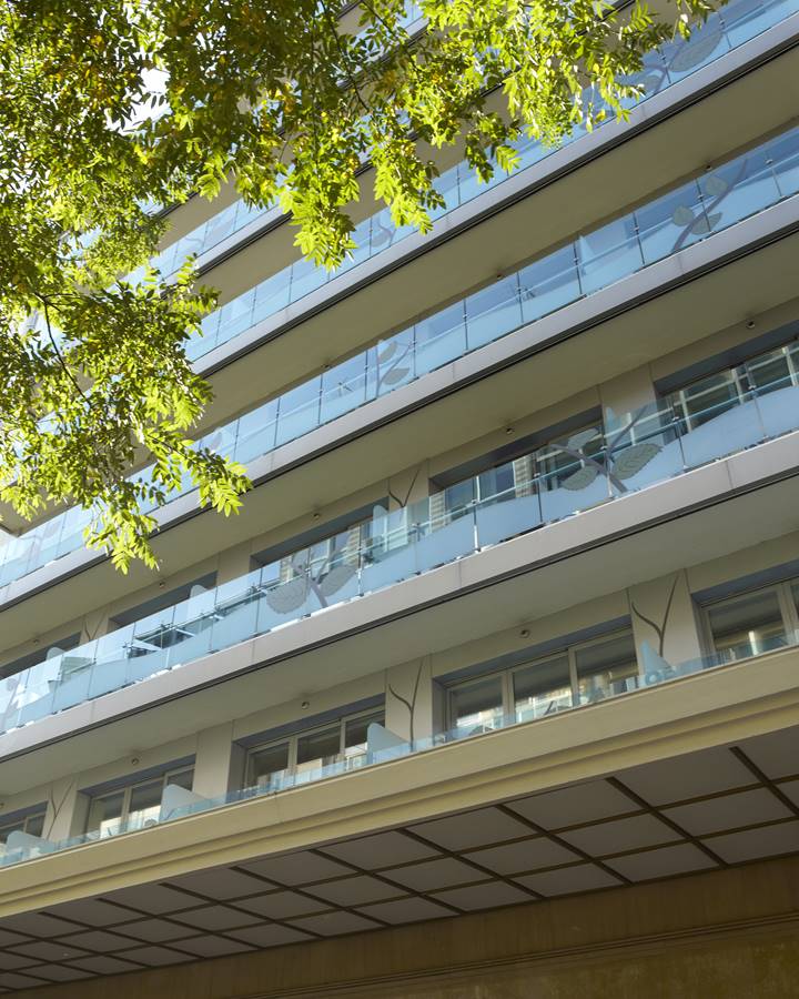 City Hotel exterior view framed by leafy trees, showcasing modern glass balconies and the main entrance with illuminated signage